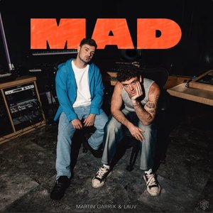“MAD”的封面