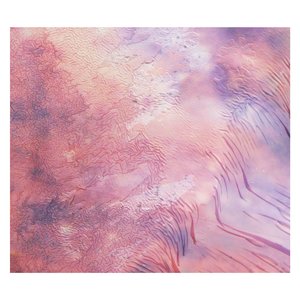 Image for 'While The Universe Sleeps'