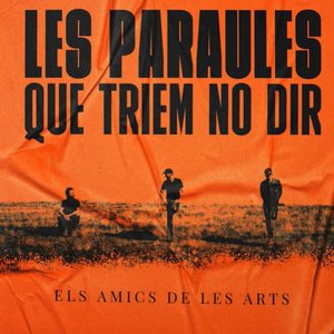 “Les paraules que triem no dir”的封面