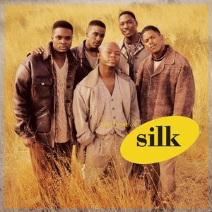 “The Best Of Silk”的封面