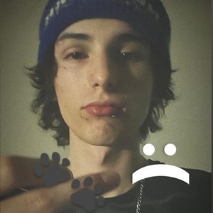 “zane lynchetti”的封面