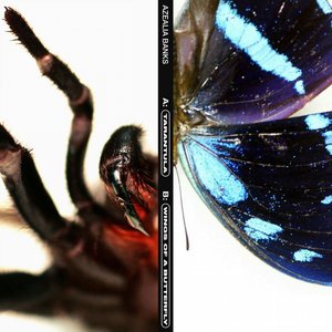 Immagine per 'Tarantula'