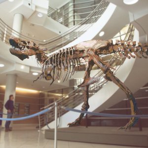 Image for 'The Beasts of History'