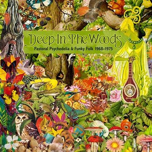 Image for 'Deep In The Woods: Pastoral Psychedelia & Funky Folk 1968-1975'