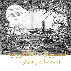 'The Electronic Tapes (Habibi Funk 005)' için resim