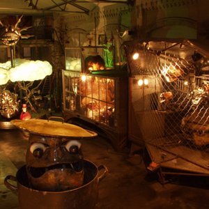 Image for 'Dead Chickens'