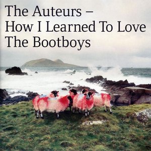 “How I Learned to Love the Bootboys”的封面