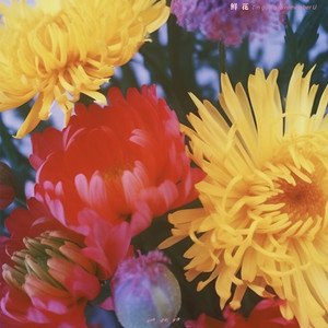 Image for '鲜花'