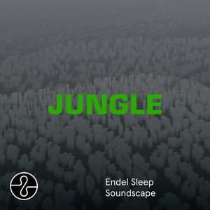 Image for 'JUNGLE (Sleep Soundscape)'