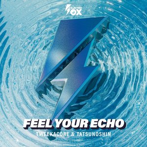 Image for 'Feel Your Echo'