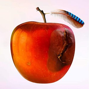 Immagine per 'Ententraum'