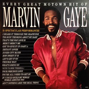 “Every Great Motown Hit of Marvin Gaye”的封面