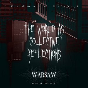 Image for 'The World As Collective Reflections'