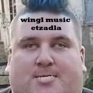 Bild für 'Willi Wingl'