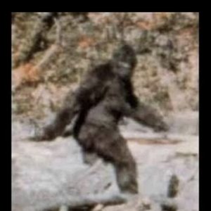 “Bigfoot's Biggest Fan”的封面