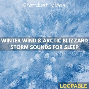 Image for 'Winter Wind & Arctic Blizzard Storm Sounds for Sleep (Loopable)'