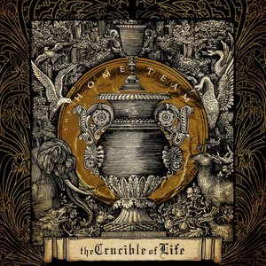 Image for 'Walk This World With Me'