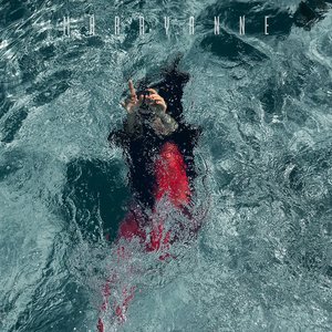 Immagine per 'Into The Void'