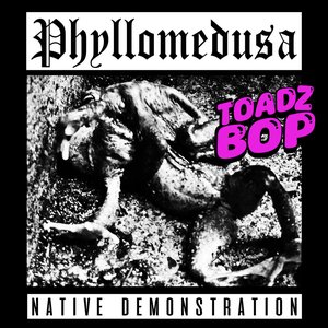 Bild für 'Native Demonstration'