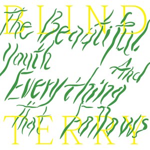 Image for 'The Beautiful Youth and Everything That Follows'