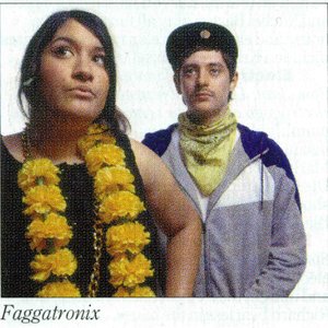 Image for 'Faggatronix'