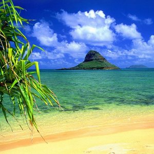 Image pour 'Hawaiian Music'