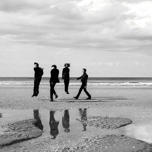 'Golden Bay'の画像