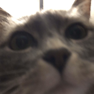 teenagefbi_