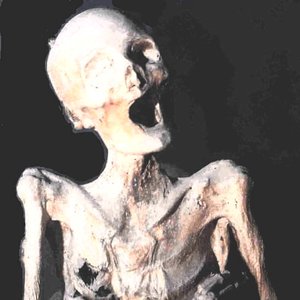 Image for 'Rex Cryptae'
