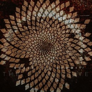 'The Collective'の画像