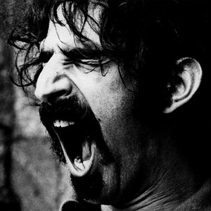 Image for 'Frank Zappa'