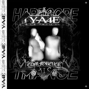 Image for 'Y-A4E'