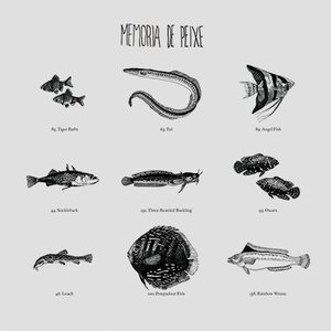 “Memória De Peixe”的封面