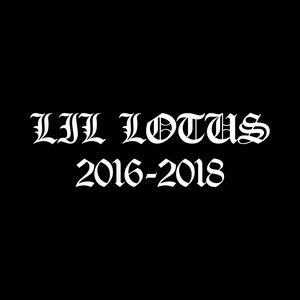 Image for '2016 - 2018'