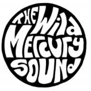 “The Wild Mercury Sound”的封面