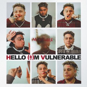 Image for 'HELLO I'M VULNERABLE'