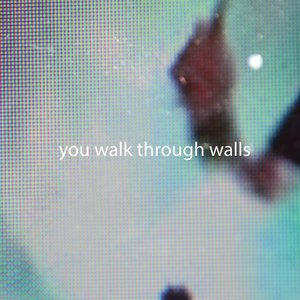 Image for 'You Walk Through Walls'