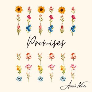 Image for 'Promises'