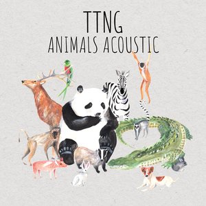 Image pour 'Animals Acoustic'