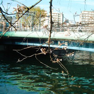 Immagine per 'おどる ひかり'