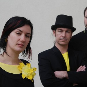 Image for 'Martina Trchová & Trio'