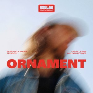 Изображение для 'Ornament'