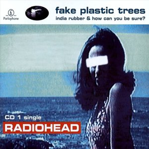 Image pour 'Fake Plastic Trees'