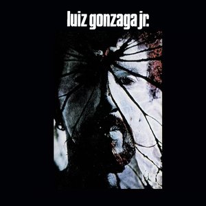 'Luiz Gonzaga Jr.'の画像