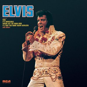 Image pour 'Elvis (Fool)'