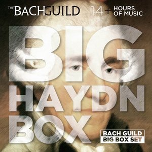 Immagine per 'Big Haydn Box'