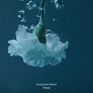 Image for 'Turquoise Waters'