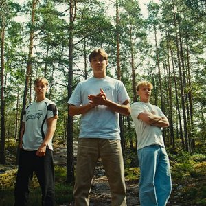 “Fjellrev”的封面