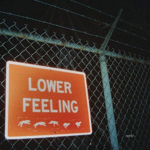 Immagine per 'Lower Feeling'