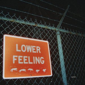 Image for 'Lower Feeling'